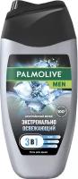 Гель для душа мужской Palmolive MEN Арктический ветер 3 в 1 для тела, волос и лица, 250 мл