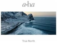 A-HA True North, 2LP+CD (Deluxe Edition, Limited Edition,180 Gram Black Vinyl)