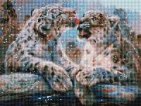 Алмазная мозаика Белоснежка "Ирбисы" / Набор алмазной мозаики 30х40 см / На подрамнике / Полная выкладка / Животные