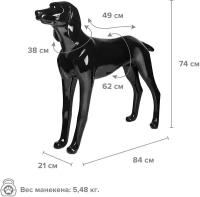 Манекен собаки AFELLOW "Курцхаар", чёрный, 84х21х74см