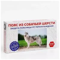 Пояс Azovmed, из собачей шерсти, круговой, 48-53 размер