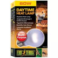 Греющая лампа для рептилий с широким лучом Hagen Exo-Terra Daytime Heat Lamp, 60Вт