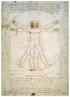 Картина "Витрувианский человек", Леонардо да Винчи, 50х70 см, печать на холсте, подрамник