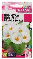 Семена цветов Примула Пионер "Белоснежная", 5 шт