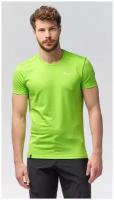 Футболка Salewa Sporty B 4 Dry M S/S Tee Pale Frog (EU:S)