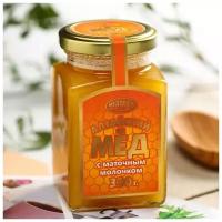 Мёд алтайский с маточным молочком, 330 г 6493811