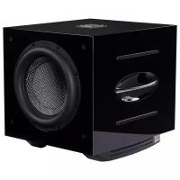 Focal REL Carbon Special