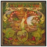 Audio CD Spyro Gyra - Morning Dance (1 CD)