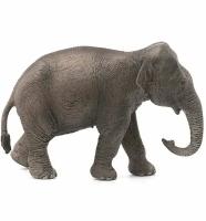 Животное слон