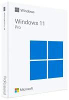 Windows 11 Pro BOX