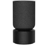 Акустическая система Bang & Olufsen Beosound Balance Black Oak