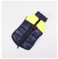 Куртка для собак на молнии, размер 14 (ДС 32 см, ОГ 42 см, ОШ 31 см), синяя с жёлтым