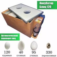 Инкубатор Блиц для 120 куриных яиц, автоматический переворот, домашний для птиц и цыплят, цифровой