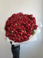 Букет Пионы бордовые 101 шт, красивый букет цветов, пионов, шикарный, цветы премиум