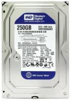 Жесткий диск Western Digital WD2500AAKX 250Gb SATAIII 3,5" HDD