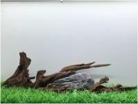 Декор аквариумный композиция коряга мангровая + камень серая гора лот 001