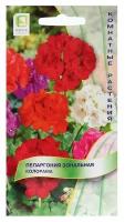 Семена цветов Пеларгония зональная "Колорама" 0,05 г