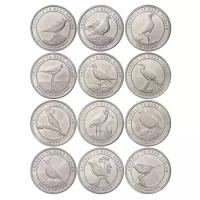 Турция «Птицы Анатолии» Набор из 12 монет (1 куруш 2020) Тираж: 5000 шт