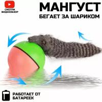 Игрушка для животных/ хвост мангуста/ дразнилка