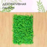 Декоративная панель, 60 × 40 см, «Самшит, Папоротник», Greengo