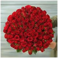 Букет живых цветов из 101 красная роза с лентой 40см