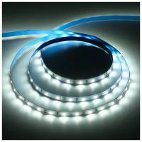 Светодиодная лента Ecola PRO 1 м, IP20, SMD5050, 60 LED/м, 14.4 Вт/м, 12 В, 4200К