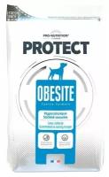 Flatazor Protect OBESITE 2кг