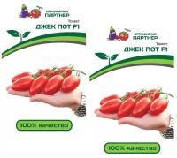 Семена Томат Джек пот F1 /Агрофирма Партнер/ 2 упаковки по 5 семян