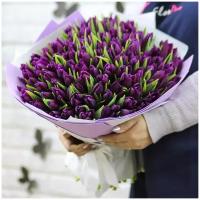 Цветы живые букет из 101 фиолетового тюльпана в дизайнерской упаковке с атласной лентой