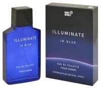 Marc Bernes Мужской Illuminate in Blue Туалетная вода (edt) 100мл