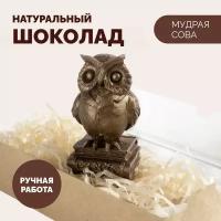 Шоколадный подарок "Мудрая сова" фигурный бельгийский шоколад ручной работы