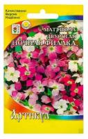 Семена цветов Маттиола двурогая "Ночная Фиалка", О, 0,3 г