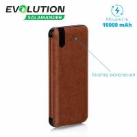 Внешний аккумулятор Salamander EVOLUTION, арт. PB12, 10000mAh, коричневый