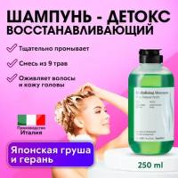 FARMAVITA / Шампунь для восстановления волос детокс BACKBAR REVITALIZING №04 250 мл