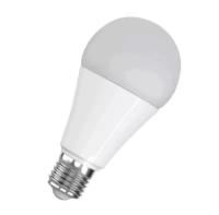 Светодиодная лампа Foton Lighting FL-LED A65 22W E27 6400К 220В 2020Лм d65x133