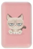 Внешний аккумулятор RITMIX RPB-10007 Grumpy Cat