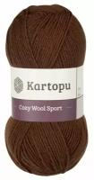 Пряжа для вязания Kartopu "Cozy Wool Sport", 25% Шерсть, 75% Акрил (K890 Sport), 280 м, 100 г цвет: коричневый