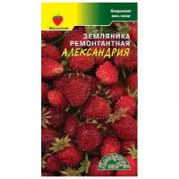 Цветущий сад Семена Земляника ремонтантная Александрия Цветущий сад