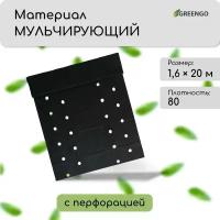 Материал мульчирующий, с перфорацией (4 ряда), 20 × 1,6 м, плотность 80 г/м², с УФ-стабилизатором, чёрный, Greengo, Эконом 20%