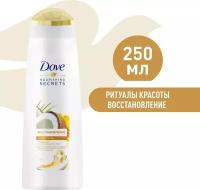 Dove шампунь Восстановление с куркумой и кокосовым маслом 250 мл