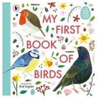 My First Book of Birds