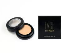 Корректор антибактериальный для проблемной кожи FACE nicobaggio professional make-up Cream Camouflage