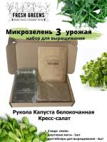 Микрозелень для выращивания Набор Fresh Greens (Рукола Капуста белокочанная Кресс-салат)