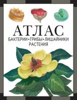 Бактерии, грибы, лишайники, растения: атлас (4-е, стереотипное)