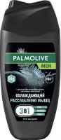 Palmolive Men Охлаждающий "Расслабление Мышц" с ментолом и магнием, гель для душа 4 в 1 для тела, волос, лица и бороды