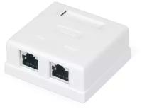 Розетка Gembird 2 порта внешняя White NAS214