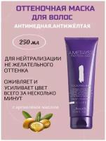 FARMAVITA Маска AMETHYSTE Silver Оттеночная маска для волос антимедная, антижелтая, Серебро, 250 мл