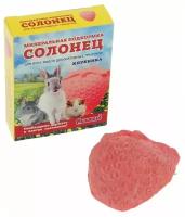 Солонец "Клубника" для грызунов, 50 г, коробка