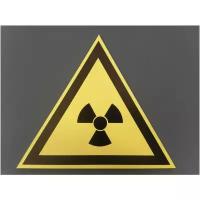 W05 Опасно. Радиоактивные вещества или ионизирующее излучение / Предупреждающий знак / Табличка