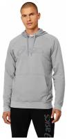 Толстовка мужская Asics 2031A984 023 Big Asics Oth Hoodie ( L US )